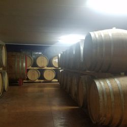 Recchia - Winery tour