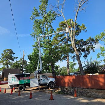 Rothco Tree Service - Tree Services Near Me Rothco Tree Service - Tree Services Near Me