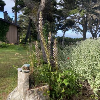 Gold Beach Inn - Beautiful grounds - Hotels Near Me - Gold Beach, Oregon