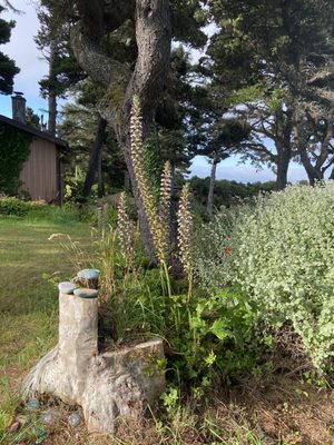 Gold Beach Inn by null