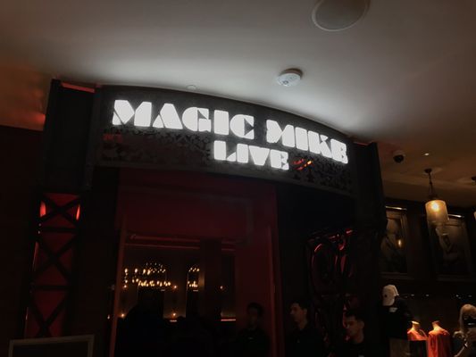 Magic Mike Live by null
