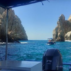 Rice and Beans - View of the Arch from Rice and Beans glass bottom boat!