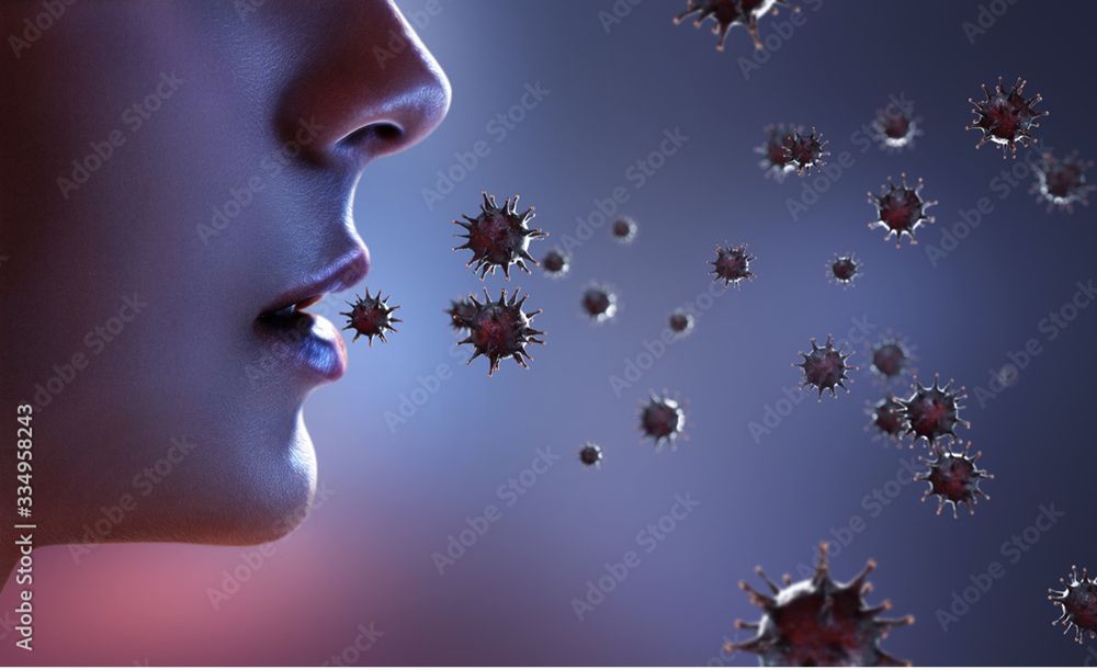 Nature's Way - mold inspector in Springfield, MA