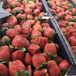 FL Strawberry