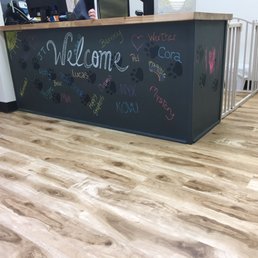 So adorable how they write each animal patient on the chalkboard !