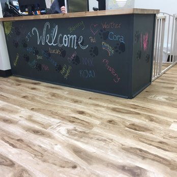 Furry Friends Veterinary Hospital - So adorable how they write each animal patient on the chalkboard ! - Veterinarians Near Me - Bloomington, Indiana