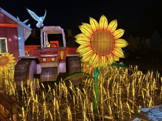 Four Mile Historic Park by null