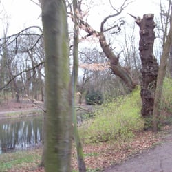 Wesselhoeftpark