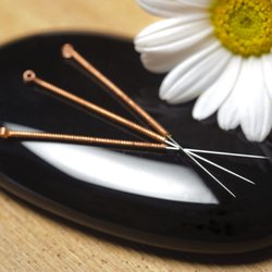 Healing Arts of Oriental Medicine - Acupuncture needles are incredibly fine, with a diameter often smaller than a human hair ensuring a nearly painless experience.