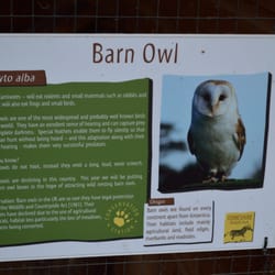Yorkshire Wildlife Park
