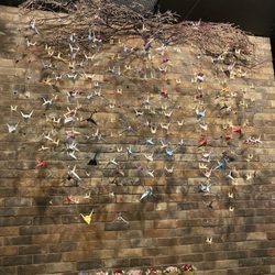 Fin Sushi - Artwork origami birds