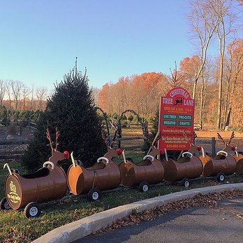 The Pallet Barn - Christmas train around the farm - Christmas Trees Near Me - Wallkill, New York