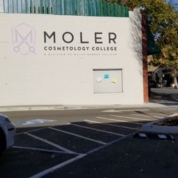 Moler on Main St Hayward