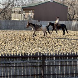 2UW Brush Creek Ranch - Horse Training- Manhattan KS Joe Ammann