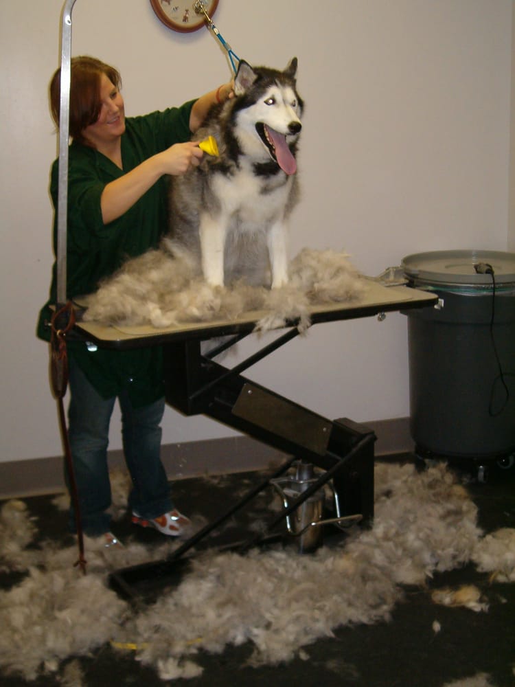 WESTINN KENNELS - 21 Reviews - 7333 Weldon Springs Rd, Wentzville