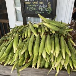Hess Orchards - Corn, picked fresh
