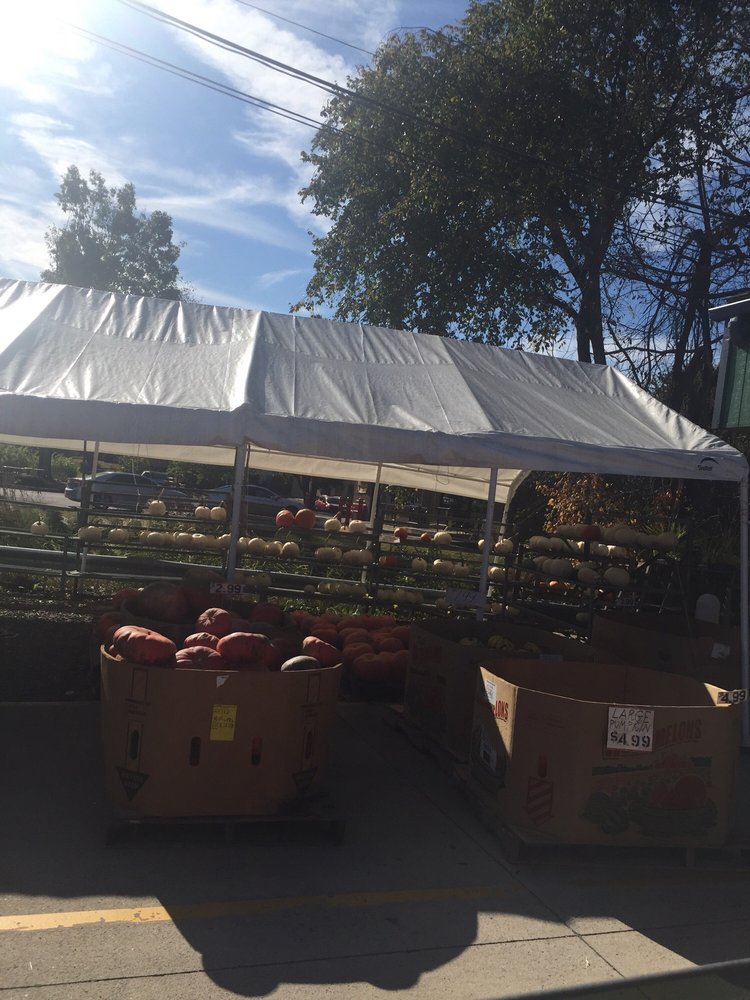 FLOWERS & PRODUCE Updated October 2024 744 2nd St Pike, Richboro, Pennsylvania Fruits