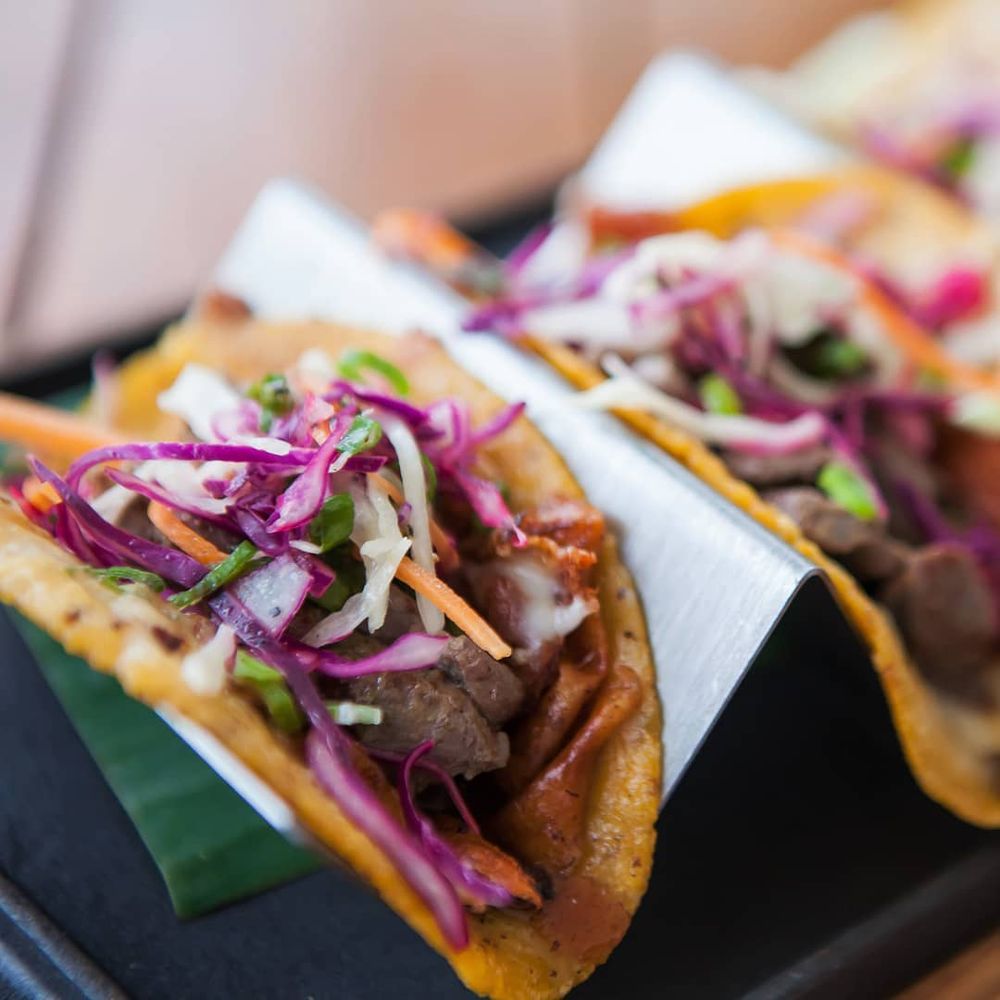 CASA CALAVERA 300 Photos & 95 Reviews Lote 12, San José del Cabo