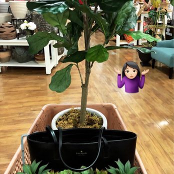HomeGoods - Always getting carried away at HomeGoods! - Furniture Stores Near Me - San Carlos, California HomeGoods - Always getting carried away at HomeGoods! - Furniture Stores Near Me - San Carlos, California