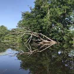 Mill Pond Park & Pond - Watch for downed trees above and below surface.