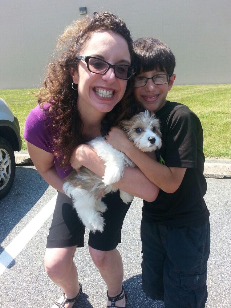 ALL FUR DOGS Updated October 2024 Norwalk, Connecticut Dog