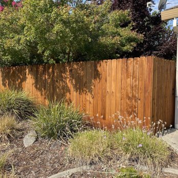McCall's Painting Company - Our fence after painting - Painters Near Me McCall's Painting Company - Our fence after painting - Painters Near Me