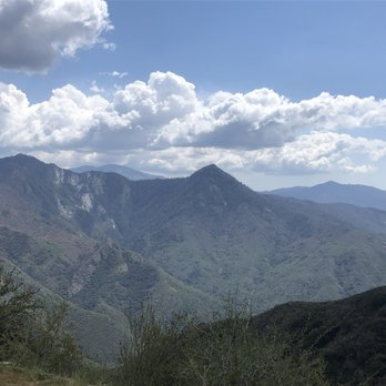 Big Trees Trail - Hiking Near Me - Three Rivers, California