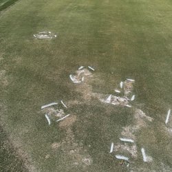 Heritage Harbour Golf Club - Green problem