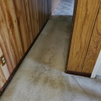 Target Carpet Care - Carpet Cleaning Near Me Target Carpet Care - Carpet Cleaning Near Me