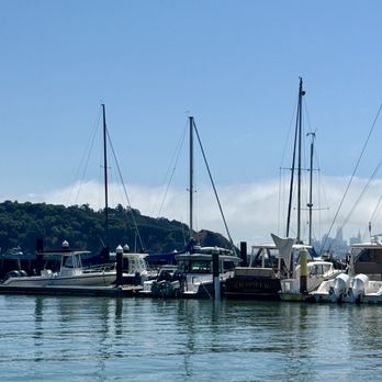 Sam's Anchor Cafe - Your view from the restaurant - Seafood Near Me - Tiburon, California