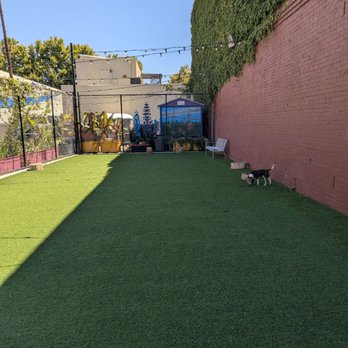 SoFA Pocket Park - Dog Parks Near Me - San Jose, California SoFA Pocket Park - Dog Parks Near Me - San Jose, California