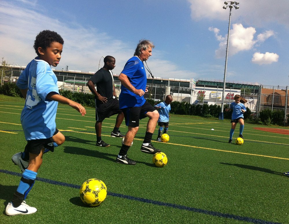 Alba Football Club - social services organization in Bronx, NY