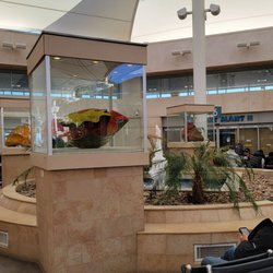 Palm Springs International Airport - PSP - Inside outside lol