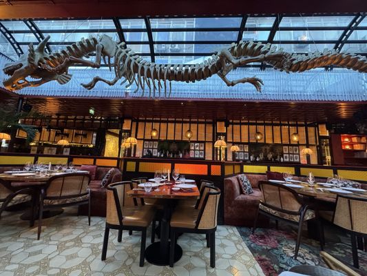 JNcQUOI Asia by null