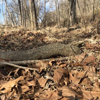 Billy Goat Trail - Section  A - Parks Near Me - Potomac, Maryland