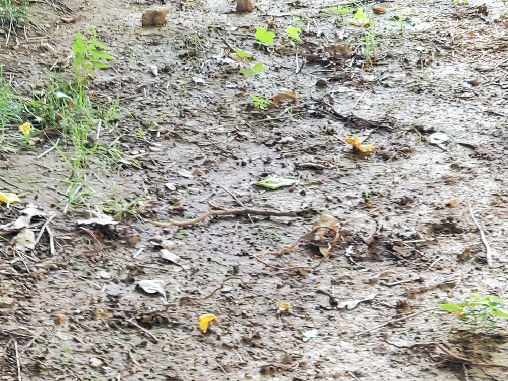 Slide of Pipe Wrench Plumbing, Heating & Cooling