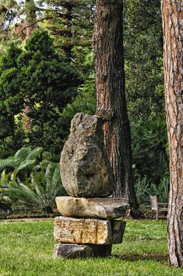 Orto Botanico di Palermo by null
