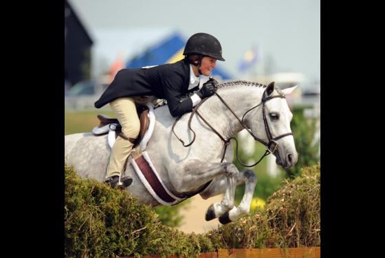 Victory Stables - equestrian in Stoughton, MA