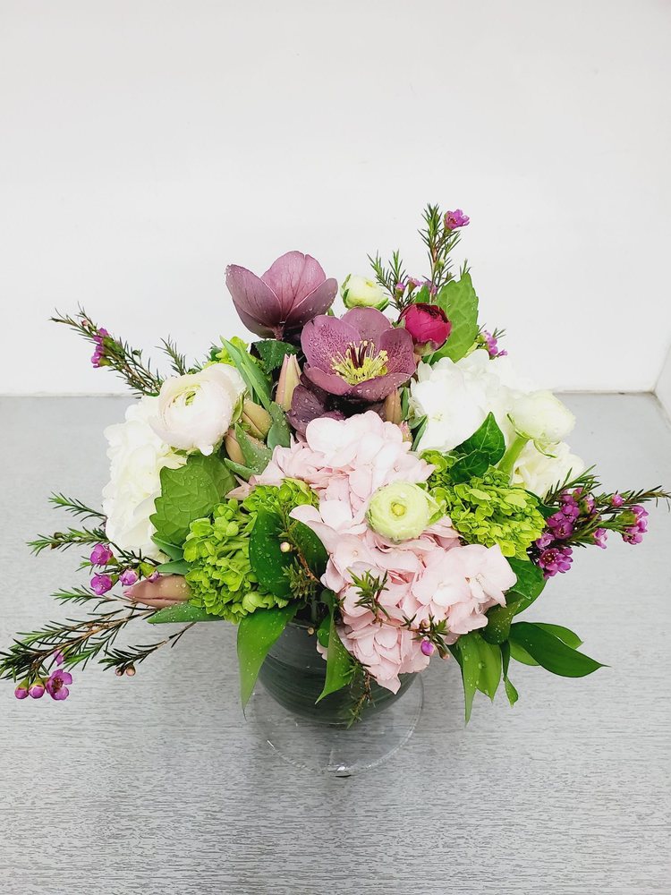 TOM’S FLORIST 226 Photos 572 Eglinton Avenue W, Toronto, Ontario