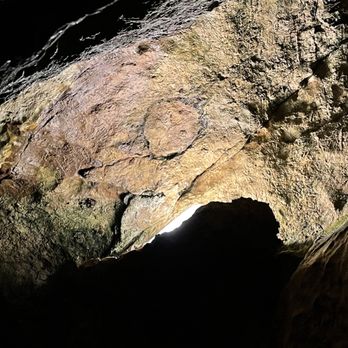 Linville Caverns - Sand dollar fossil - Landmarks & Historical Buildings Near Me - Marion, North Carolina