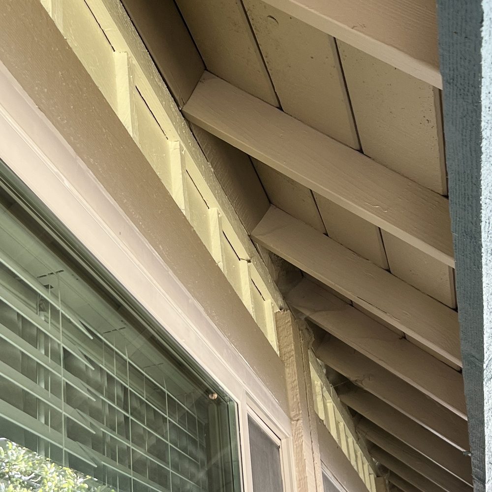 Greene Pest Solutions - Before: tons of spider webs collecting bugs, gnats, insects & leaves underneath my overhang by my front window - Pest Control Near Me