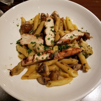 The Monkey Cat - Chicken penne pasta - New American Near Me - Auburn, California