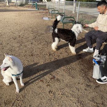 Franich Dog Park - watch out for the chi-nado vortex lest it swoop doggy up like some Wizard of Oz s&!t !! - Dog Parks Near Me - Watsonville, California Franich Dog Park - watch out for the chi-nado vortex lest it swoop doggy up like some Wizard of Oz s&!t !! - Dog Parks Near Me - Watsonville, California