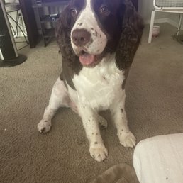 My Remington My Remington