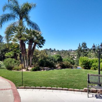Plugged In Lawn Care - a bench and palm trees - Lawn Services Near Me Plugged In Lawn Care - a bench and palm trees - Lawn Services Near Me