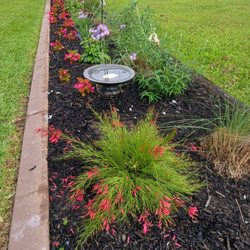 Pascarella Nursery