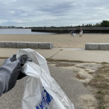 Tenean Beach - Clean-up! - Beaches Near Me - Dorchester, Massachusetts Tenean Beach - Clean-up! - Beaches Near Me - Dorchester, Massachusetts