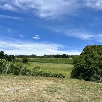 Millbrook Vineyards - Wine Tasting Room Near Me - Millbrook, New York