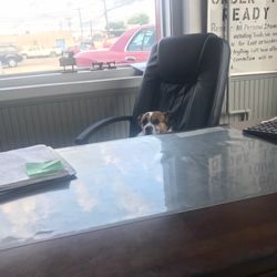 Vanessa's Upholstery - The real boss