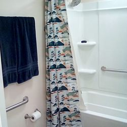 Awt Construction - Master bathroom.